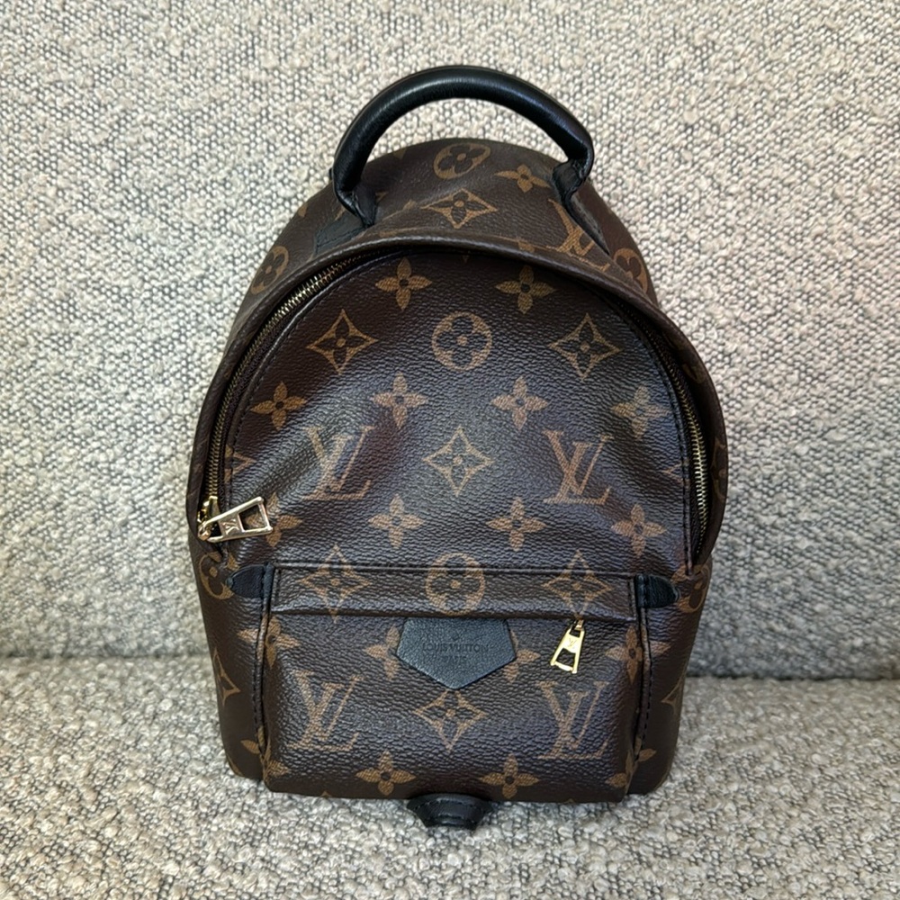 Louis Vuitton Nano Palm Springs Backpack
